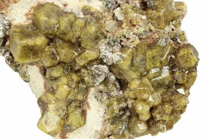 Yellow Andradite-Grossular Garnet Cluster with Clinochlore - Mali #242499